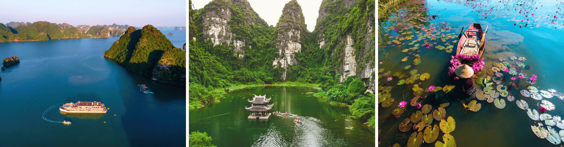 VE Day 5 VE Day 5 WOLO Travel